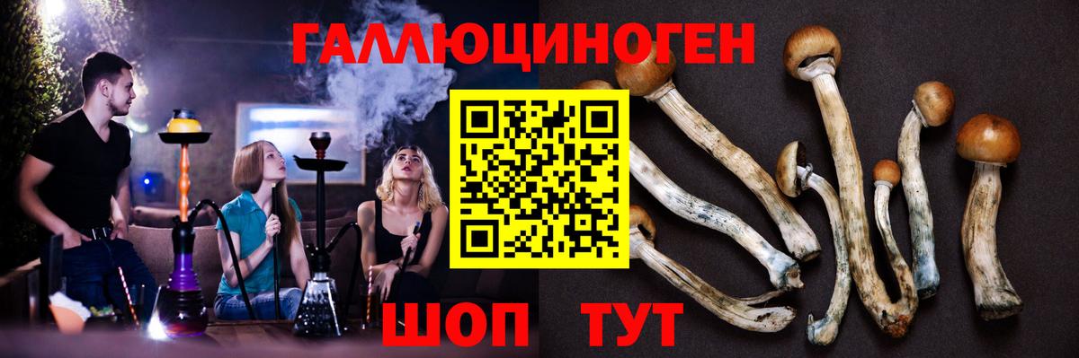 Печора  Псилоцибиновые грибы MAGIC MUSHROOMS  купить   Галлюциногенные грибы мухоморы  Вход с VPN 